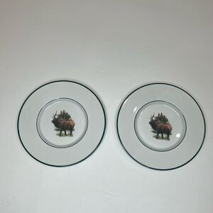 Wildlife Designs Inc Collection Original Phillip Crowe USA 6 1/4 In Round Set 2